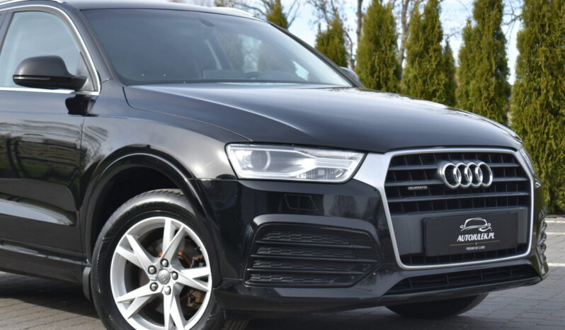 Audi Q3 QUATTRO XENON GRZANE FOTELE SERWISOWANA BEZWYPADKOWA GWARANCJA full