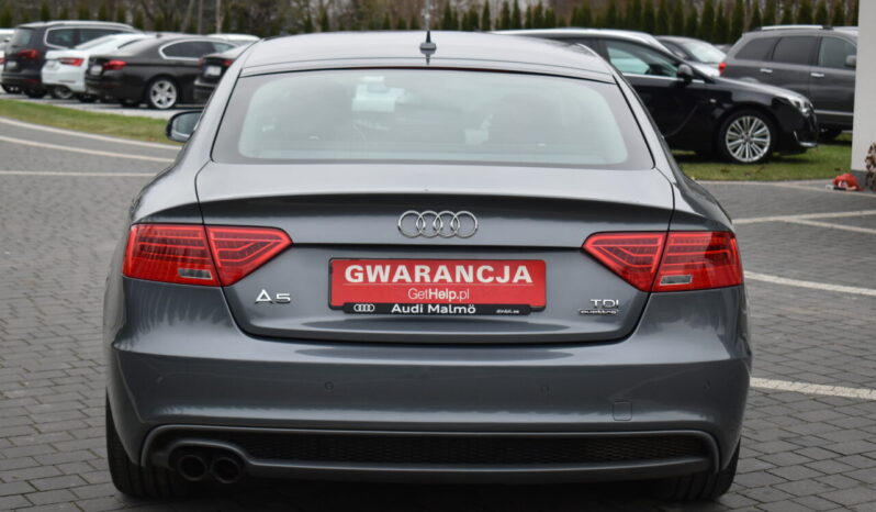 QUATTRO S-LINE XENON LEDY NAVI WEBASTO serwisowana opłacona gwarancja full