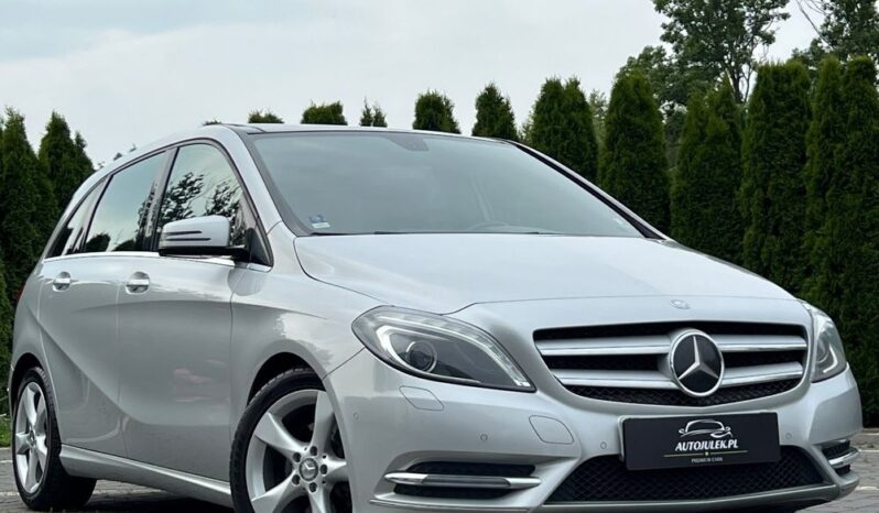 Mercedes-Benz Klasa B 180 CDI (BlueEFFICIENCY) full