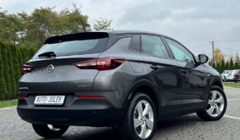 Opel Grandland X 1.6 D Start/Stop Edition I WŁAŚCICIEL 100% BEZWYPADKOWY SERWISOWANY GWARANCJA full