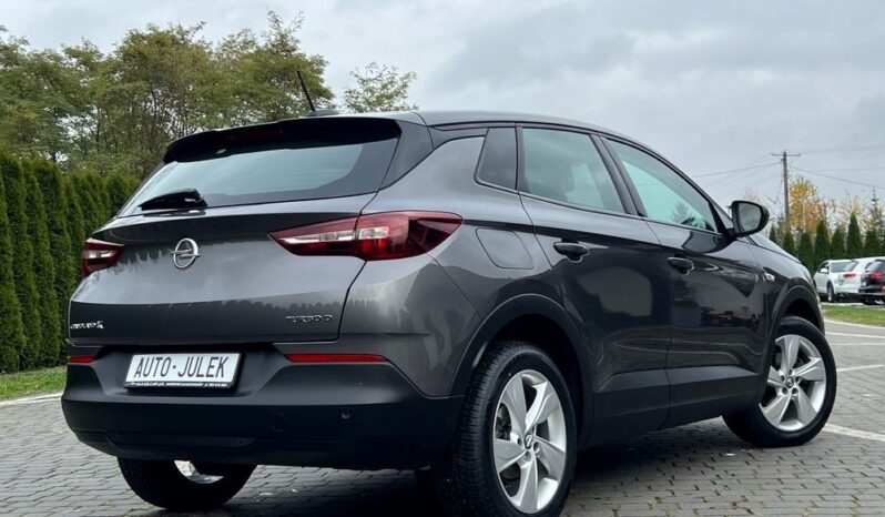 Opel Grandland X 1.6 D Start/Stop Edition I WŁAŚCICIEL 100% BEZWYPADKOWY SERWISOWANY GWARANCJA full