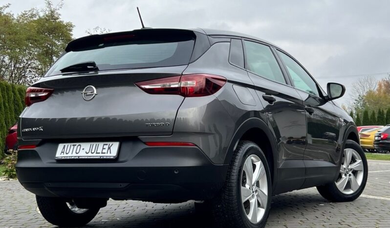 Opel Grandland X 1.6 D Start/Stop Edition I WŁAŚCICIEL 100% BEZWYPADKOWY SERWISOWANY GWARANCJA full