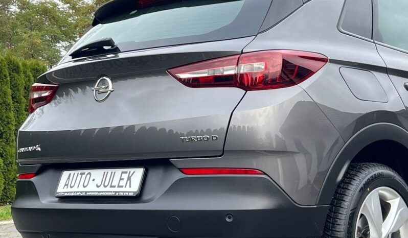 Opel Grandland X 1.6 D Start/Stop Edition I WŁAŚCICIEL 100% BEZWYPADKOWY SERWISOWANY GWARANCJA full