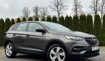 Opel Grandland X 1.6 D Start/Stop Edition I WŁAŚCICIEL 100% BEZWYPADKOWY SERWISOWANY GWARANCJA full