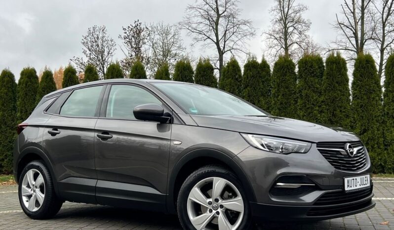 Opel Grandland X 1.6 D Start/Stop Edition I WŁAŚCICIEL 100% BEZWYPADKOWY SERWISOWANY GWARANCJA full