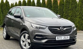 Opel Grandland X 1.6 D Start/Stop Edition I WŁAŚCICIEL 100% BEZWYPADKOWY SERWISOWANY GWARANCJA full