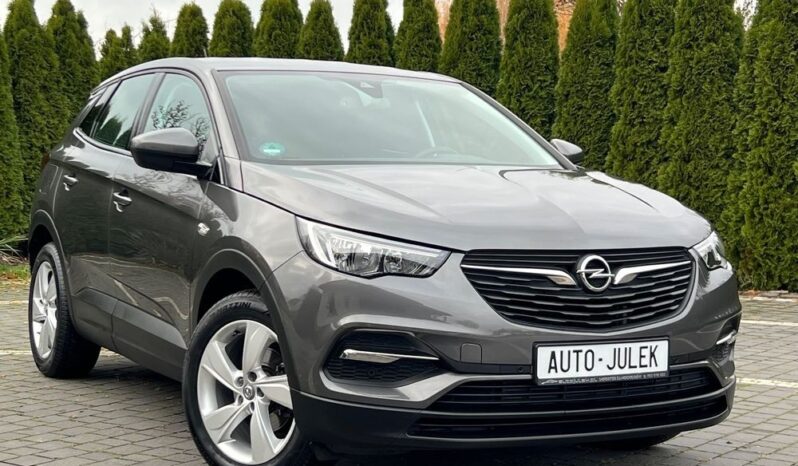 Opel Grandland X 1.6 D Start/Stop Edition I WŁAŚCICIEL 100% BEZWYPADKOWY SERWISOWANY GWARANCJA full