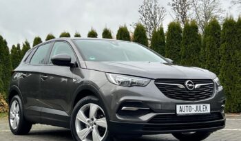 Opel Grandland X 1.6 D Start/Stop Edition I WŁAŚCICIEL 100% BEZWYPADKOWY SERWISOWANY GWARANCJA full
