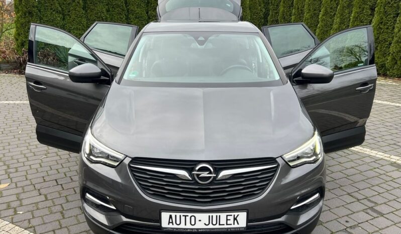 Opel Grandland X 1.6 D Start/Stop Edition I WŁAŚCICIEL 100% BEZWYPADKOWY SERWISOWANY GWARANCJA full
