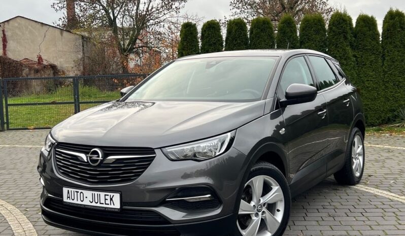 Opel Grandland X 1.6 D Start/Stop Edition I WŁAŚCICIEL 100% BEZWYPADKOWY SERWISOWANY GWARANCJA full
