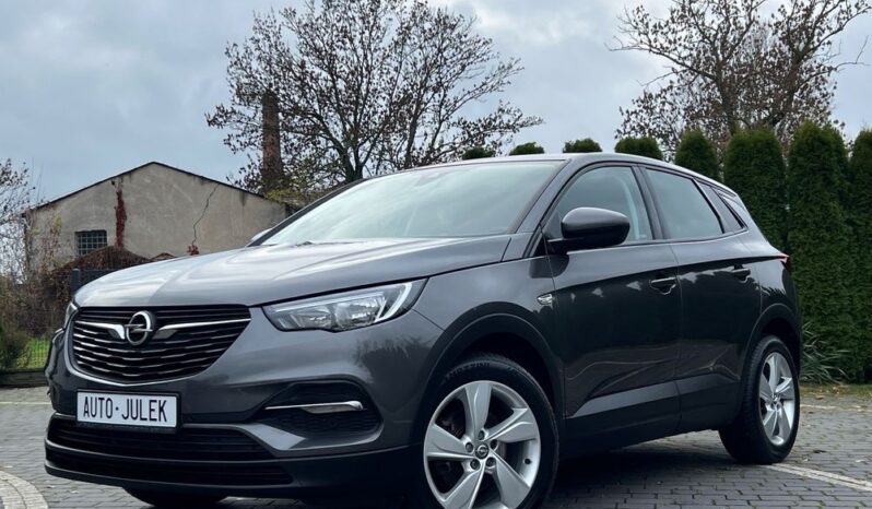 Opel Grandland X 1.6 D Start/Stop Edition I WŁAŚCICIEL 100% BEZWYPADKOWY SERWISOWANY GWARANCJA full