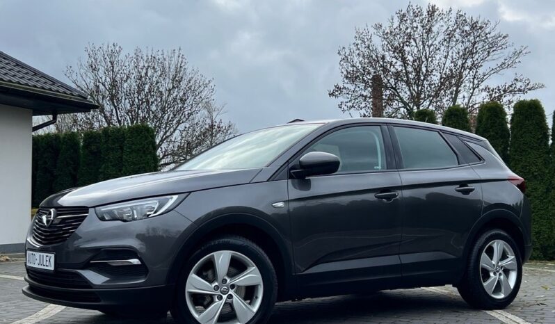 Opel Grandland X 1.6 D Start/Stop Edition I WŁAŚCICIEL 100% BEZWYPADKOWY SERWISOWANY GWARANCJA full