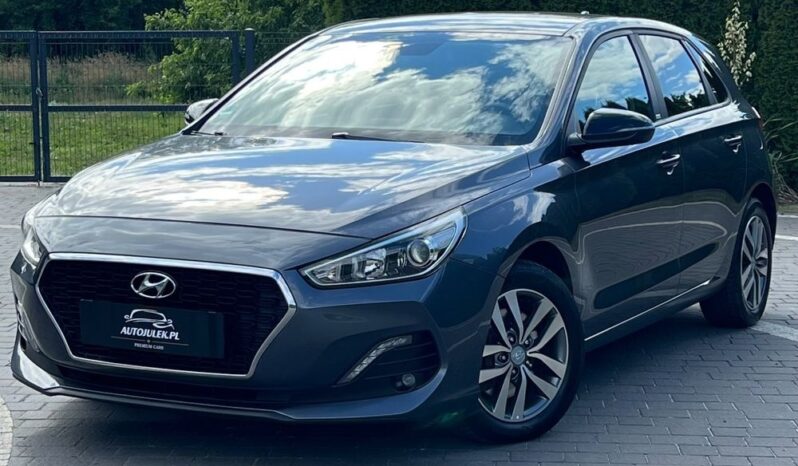 Hyundai i30 1.6 CRDI LIFT NAVI KAMERA KLIMATRONIK GRZANE FOTELE I KIEROWNICA SERWISOWANY 100% BEZWYPADKOWY GWARANCJA full